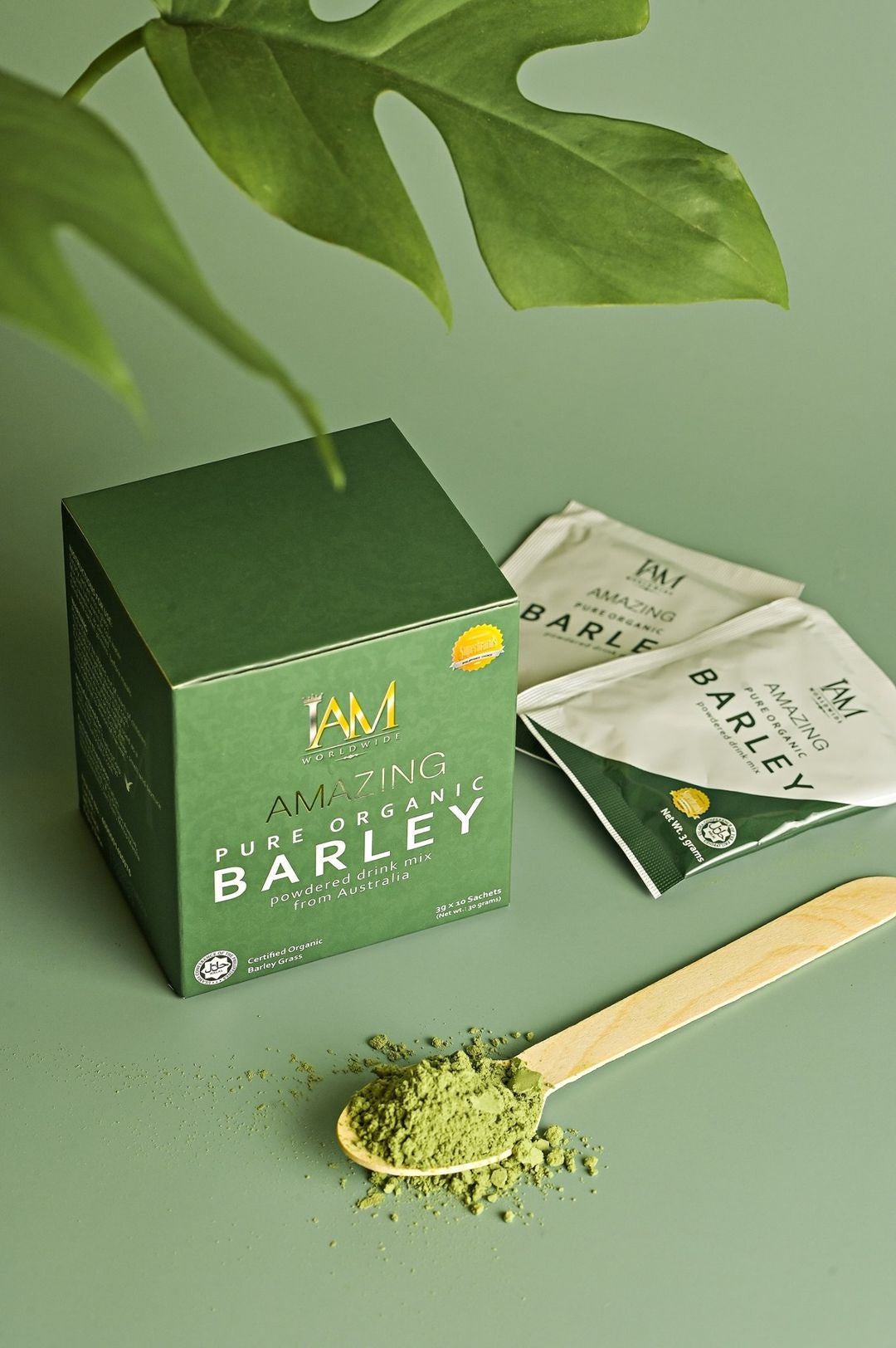 Barley Grass Powder Juice Drink- Business Wholesale Jade Package 200 Boxes PLUS 50 Boxes FREE